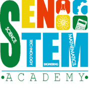 Senstem academy